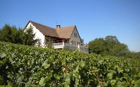 Le Mont Laurent